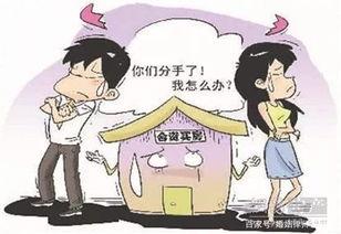 离婚攻略,轻松应对婚姻终结的实用指南