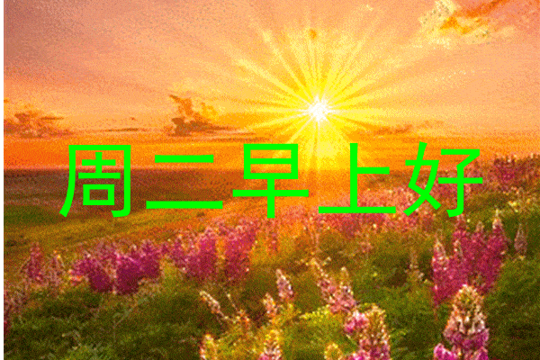 无恐无惧,无恐无惧的人生篇章