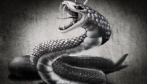 蛇债 2025,展望未来金融市场的挑战与机遇